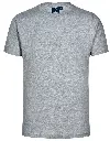 TS20_Grey_l (1).webp