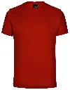 TS20_Red_l.webp