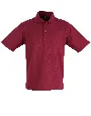 PS11_Maroon_big.webp