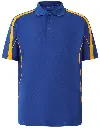 PS53_RoaylGold_big.webp