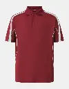 PS53_MaroonWhite_big.webp