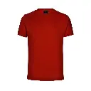 62.webp