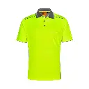 55.webp
